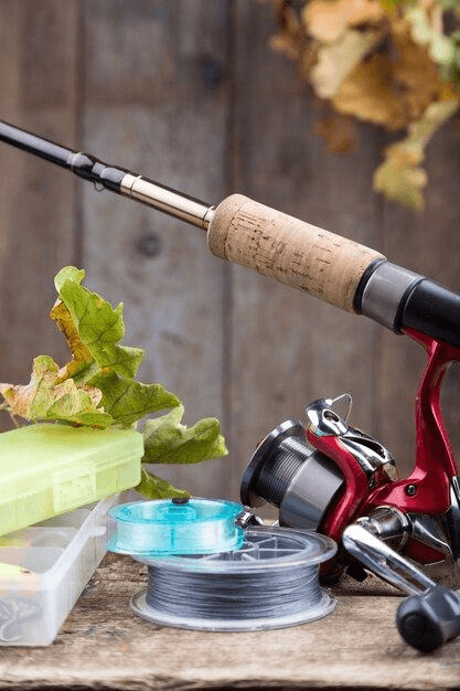 Soies et backing